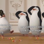 Funny penguins
