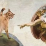 Unimpressed cat and God by Michelangelo