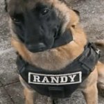 Randy