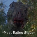 Meat Eating Stops