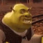 Crazy Shrek