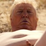 Trumps brain