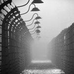Concentration camp