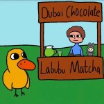 Dubai Chocolate Labubu Matcha Stand