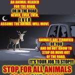Studies Show That 6 Out Of 100 Drivers TRY To Hit Animals.  Don't Be An A-Hole!!   Be The Guy That Stops And HELPS The Animals!! | WHEN YOU'RE DRIVING AND SEE AN ANIMAL HEADED FOR THE ROAD,
OR IN THE ROAD,
NEVER, EVER, EVER, E V E R,
ASSUME THE ANIMAL WILL MOVE; OR IN THE ROAD; E V E R; ANIMALS ARE TERRIFIED
OF YOU
AND DO NOT KNOW TO STOP OR MOVE OUT OF THE ROAD.
IT'S YOUR JOB TO STOP!!! OF YOU; STOP FOR ALL ANIMALS
GREAT AND SMALL; AND; IT'S YOUR JOB TO STOP!!! | image tagged in deer in the headlights,memes,animals are people too,wake up,animals,good drivers vs bad drivers | made w/ Imgflip meme maker