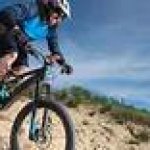 Ebiker electric bike