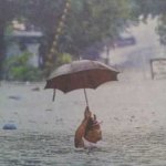 Flood