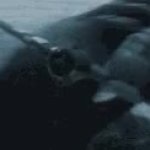 This is my plane now GIF Template