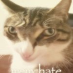 memchate meme