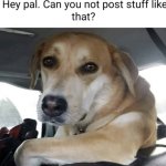 hey pal dont post stuff like that