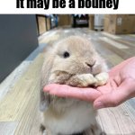Bouney :3 meme