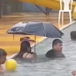 pool umbrella