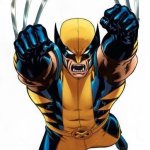 Wolverine jump