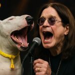 Ozzy Bully