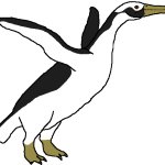 Female Kumimanu (Paleoverse + EOIverse)