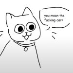 you mean the fucking car