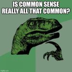 Is it tho? | IS COMMON SENSE REALLY ALL THAT COMMON? | image tagged in memes,philosoraptor | made w/ Imgflip meme maker