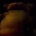 freddy dance GIF Template