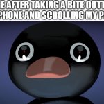 hol up | ME AFTER TAKING A BITE OUTTA MY PHONE AND SCROLLING MY PIZZA | image tagged in terrified noot noot,funny | made w/ Imgflip meme maker