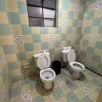 Dueling toilets