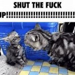 SHut up