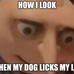 gru | HOW I LOOK; WHEN MY DOG LICKS MY LEG | image tagged in gru | made w/ Imgflip meme maker