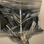 cat window blinds