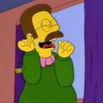 Net Flanders emocionado