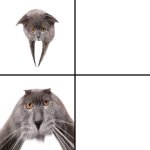 Oberezhnometano