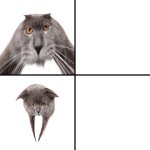 Oberezhnometano meme
