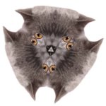 Oberezhnometano