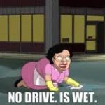 No Drive is wet GIF Template
