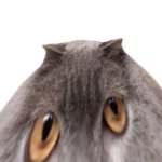 Oberezhnometano template