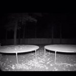 Life Is Short. Be Silly, Have Fun! Believe Everything Happens For A Purpose! | image tagged in gifs,have fun | made w/ Imgflip video-to-gif maker