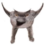 Neoberezhnometano