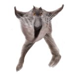 Neoberezhnometano