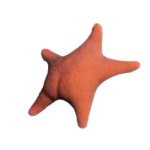 starbutt