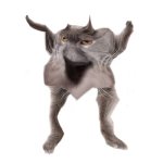 Neoberezhnometano