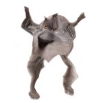 Neoberezhnometano