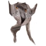 Neoberezhnometano