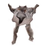 Neoberezhnometano