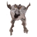 Neoberezhnometano