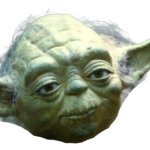 Yoda head