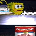 cream of mushroom meme