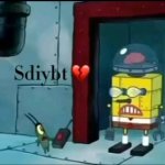 sdiybt