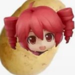Poteto