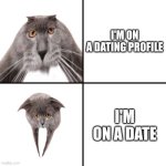Dating profile vs Date | I'M ON A DATING PROFILE; I'M ON A DATE | image tagged in oberezhnometano,cats,dating,date,expectation vs reality,kotsiubiiv | made w/ Imgflip meme maker