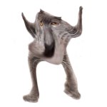 Neoberezhnometano