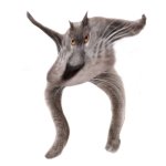 Neoberezhnometano