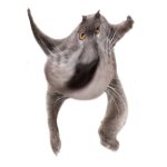 Neoberezhnometano